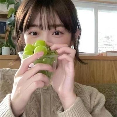 菊石